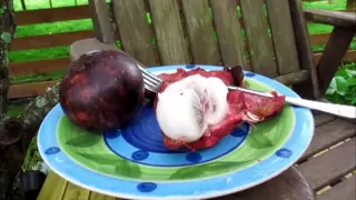 Thai Fruit Taste Test - Mangosteen. 