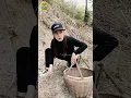 masteran burung memes viral funny moments #funnyvideo #birdsounds #Shorts