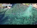Swimming with manatees on Crystal River Taste and See Tampa Bay