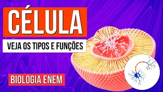 CÉLULA: O que é, Funções, Tipos e Estrutura básica das Células | Biologia Enem. Profe Claudia Aguiar