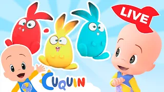 🔴 LIVE 🔴 Learn colors, numbers and shapes with Cuquín | Educational videos for kids