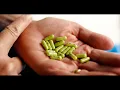 RESISTENCIA SUBURBANA - POR CULTIVAR MARIHUANA