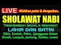 Download Lagu TIBBIL QULUB (SYIFA) SHOLAWT MALAM KAMIS BERKAH, Sholawat Syifa Pengantar Tidur