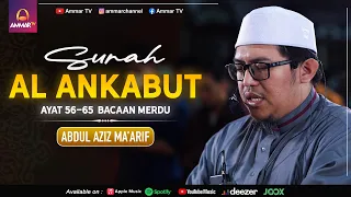 IMAM SHOLAT SURAH AL ANKABUT 56-65 | ABDUL AZIZ MA'ARIF