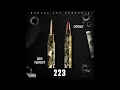 Ladii Twenty2 - No Passes (feat. Dsteez) (Extreme Bass Boost)