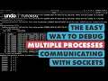 Multi-Process Debugging Track IPC Fix Bugs with UDB LiveRecorder - Sockets in C Programming