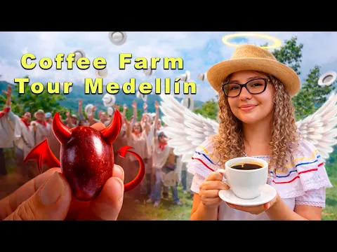 Coffee Tour en Medellín: precio y qué incluye