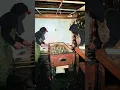 Would you party here