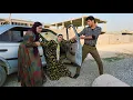 Download Lagu Does Omid intend to return to his relationship with Maryam after betraying her?