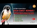 Download Lagu Masteran Cendet Ganas Terbaik 2025! Gereja Tarung, Kuntilanak, Armageddon \u0026 Tengkek Buto Full Emosi