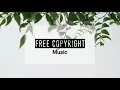 Download Lagu Markvard - Dreams || Free Copyright Music