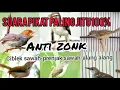 Download Lagu PIKAT CIBLEK SAWAH PRENJAK SAWAH ALANG ALANG