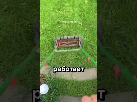 ПРОСТО ПОГЛАДИТЬ ТРАВУ @rabbitshopde