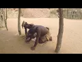 Download Lagu I Damara della Namibia