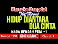 Download Lagu HIDUP DIANTARA DUA CINTA KARAOKE!! Nada Pria