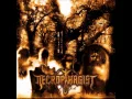 Download Lagu Necrophagist - Seven (HQ)