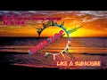Download Lagu Dj ditinggal pas sayang sayange;by ; dj opus