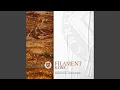 Download Lagu Filament (Rauschhaus Remix)