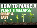 How to Make a Plant Time-Lapse Cheap Easy