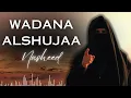 WADANA ALSHUJAA NASHEED | نشيد ودنا الشجاع