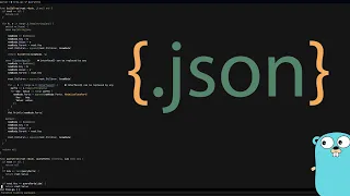 Writing a JSON Parser in Go Recreational Programming