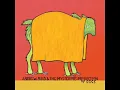 Andrew Bird - A Nervous Tic Motion Of The Head To The Left