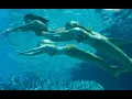 Download Lagu H2O Just Add Water - Relaxing Swimming Scenes