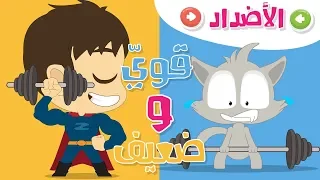 الأضداد للأطفال   تعليم المفردات وعكسها باللغة العربية   تعلم الكلمات وعكسها باللغة العربية مع زكريا دندنها