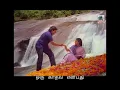 Download Lagu Oru Kadhal Enbathu - Pallavi Male - Lyrics - Ilayaraja WhatsApp Status (Revived)