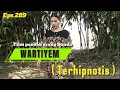 Download Lagu Film pendek orang Sunda|| WARTIYEM ( TERHIPNOTIS ) EPISODE 289 #lucu #drama