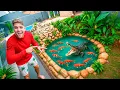 Download Lagu ENCHI MEU LAGO PELA PRIMEIRA VEZ APÓS A REFORMA E JA SOLTEI OS PEIXES JACARÉ 😍🐊
