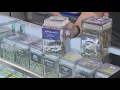 What to know before buying recreational pot from Missouri dispensaries