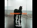 Fast Boy feat. Topic – Forget You