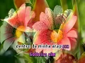 16879 - Guilherme e Santiago - SOLTEIRO SIM, SOZINHO NUNCA ==Karaoke–Videoke – Playback - Raf