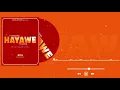 Download Lagu Jackdesigner ft luvina - hayawe (Official Audio)