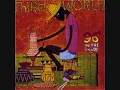 Third World - 1865 (96 Degrees in the Shade)