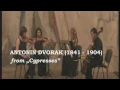 Antonín Dvořák - „Cypresses”