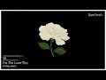 Sam Smith - For The Lover That I Lost (Audio)