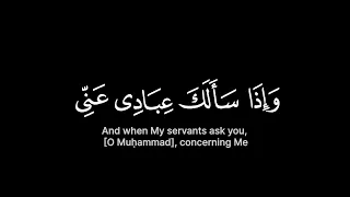 يريد الله بكم اليسر ولا يريد بكم العسر   القارئ عمير شميم   سورة البقرة   كرومات قران شاشة سوداء دندنها