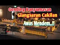 Download Lagu Gending Ebeg Glangsaran Cakilan Banyumasan