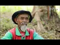 Download Lagu IWAN FALS ( HUTANKU )