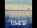 Riverbank Reverie