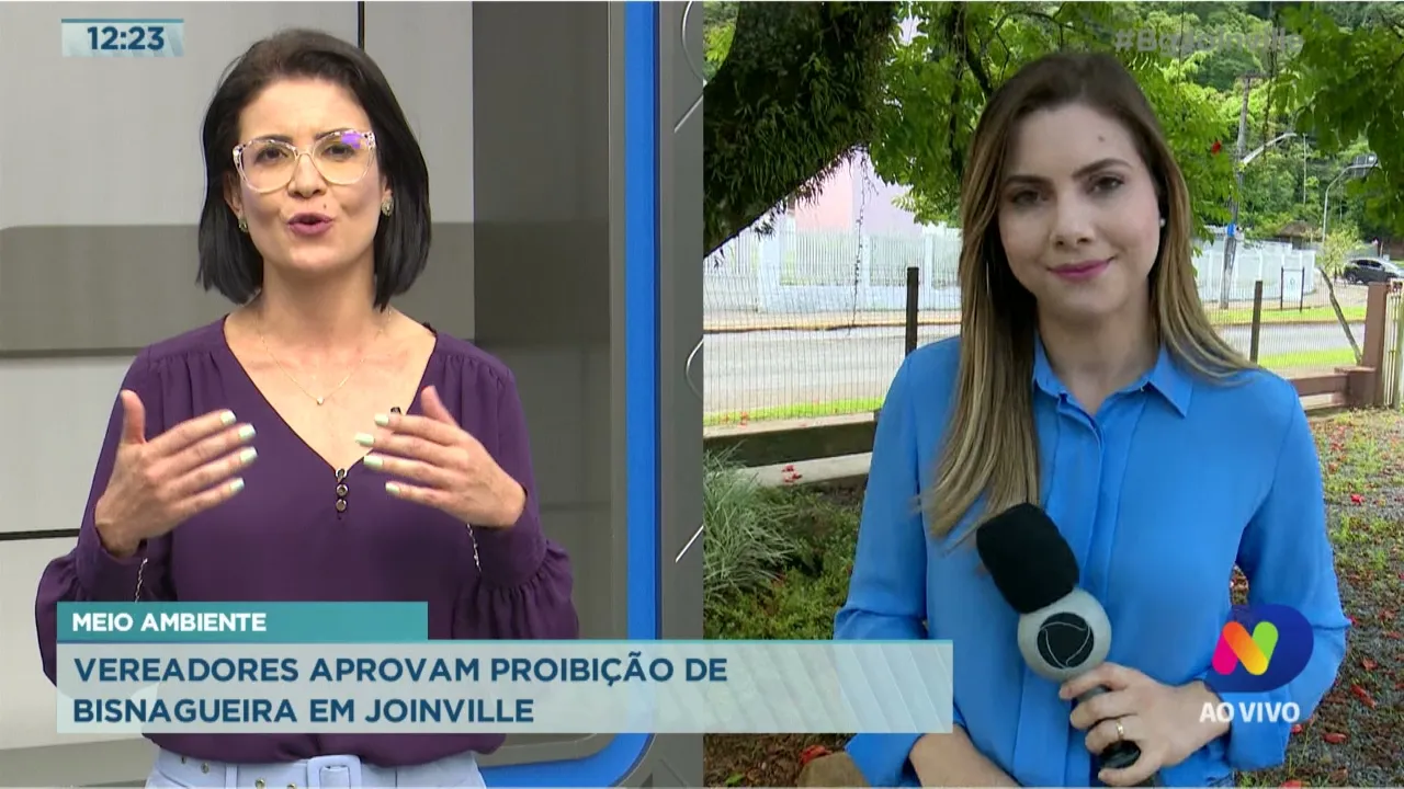 Meio ambiente: Vereadores aprovam proibição de Bisnagueira em Joinville