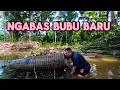Download Lagu Sibuk Kami Saritu,Nyual Sawit,Ngabas Bubu Bisi Ga Bulih Mimit/Banjir Ga Tu Ar/Rezeki Bulih Bubu Baru