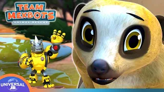 The MekBots Get Micro! | TEAM MEKBOTS ANIMAL RESCUE