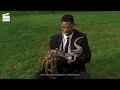 Download Lagu Men In Black: It's a Squid