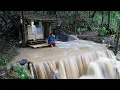 Download Lagu 2hari camping di hutan pinggir sungai perbaiki shelter dan mencari rebung di guyur hujan deras