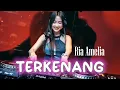 Download Lagu Terkenang – Ria Amelia (Lirik Video) Dangdut Lawas