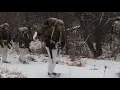 Fort McCoy Cold-Weather Operations Course students conduct field training 2019