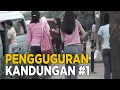 Download Lagu Pelaku aborsi biasanya dari kalangan keluarga menegnah kebawah | JELANG SIANG